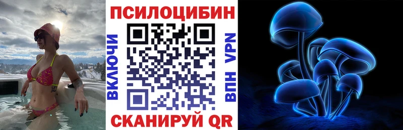 Купить где  Пикалёво  Галлюциногенные грибы Psilocybe 